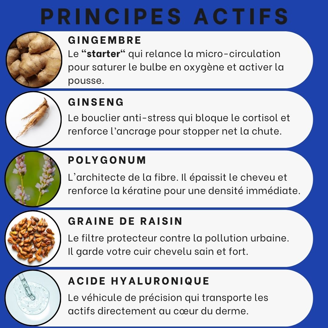 Micro-Infusion Capillaire + Cure Active